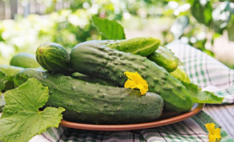 Огурцы полезные свойства