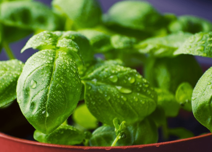 Kakie produkty nelzya zamorazhivat 2