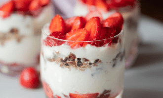 Domashnee morozhenoe iz jogurta